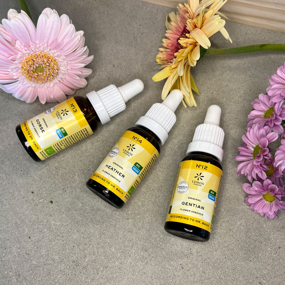 Original Bachblüten nach Dr. Bach Einzelessenzen Bach flower essences Bio organic emergency Notfall bachblüten Mischung bachflower mixture