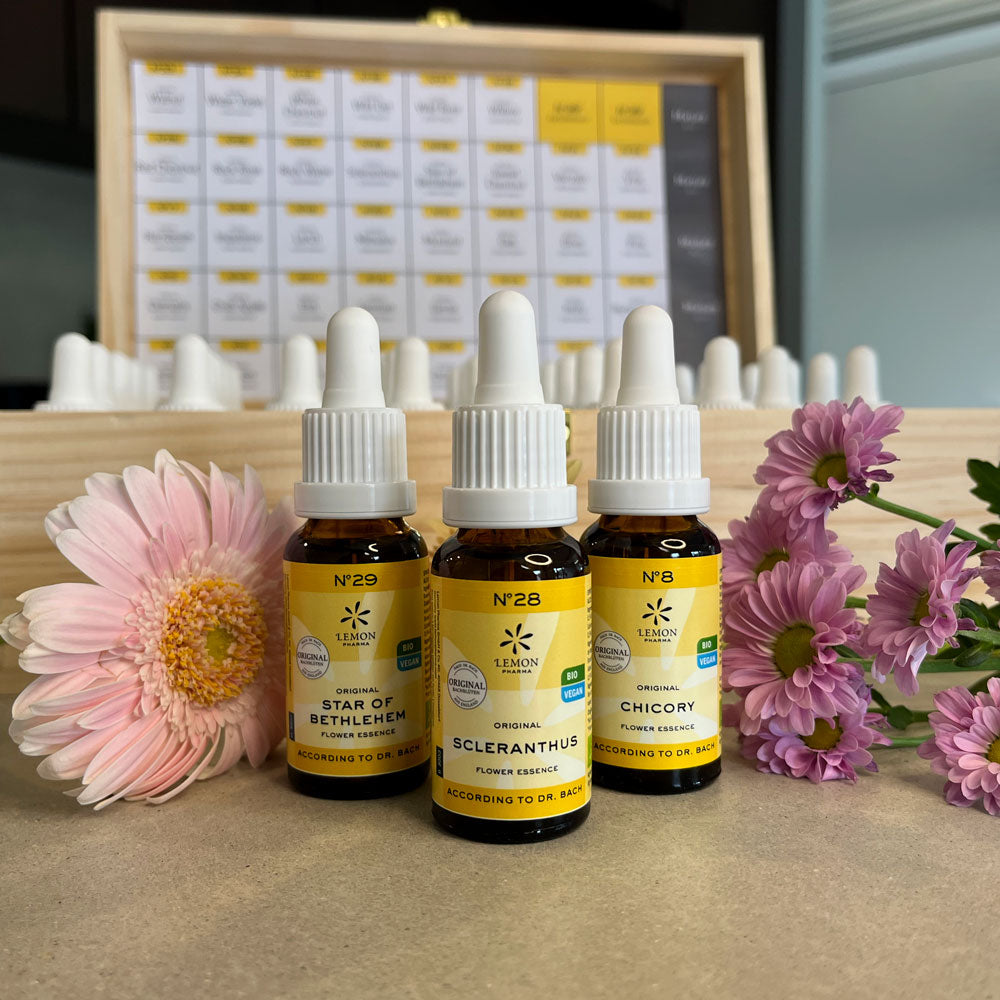 Original Bachblüten nach Dr. Bach Einzelessenzen Bach flower essences Bio organic emergency Notfall bachblüten Mischung bachflower mixture