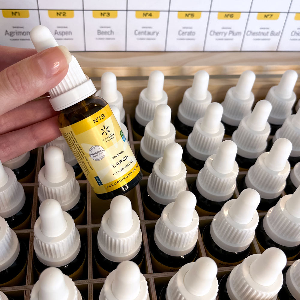 Original Bachblüten nach Dr. Bach Einzelessenzen Bach flower essences Bio organic emergency Notfall bachblüten Mischung bachflower mixture