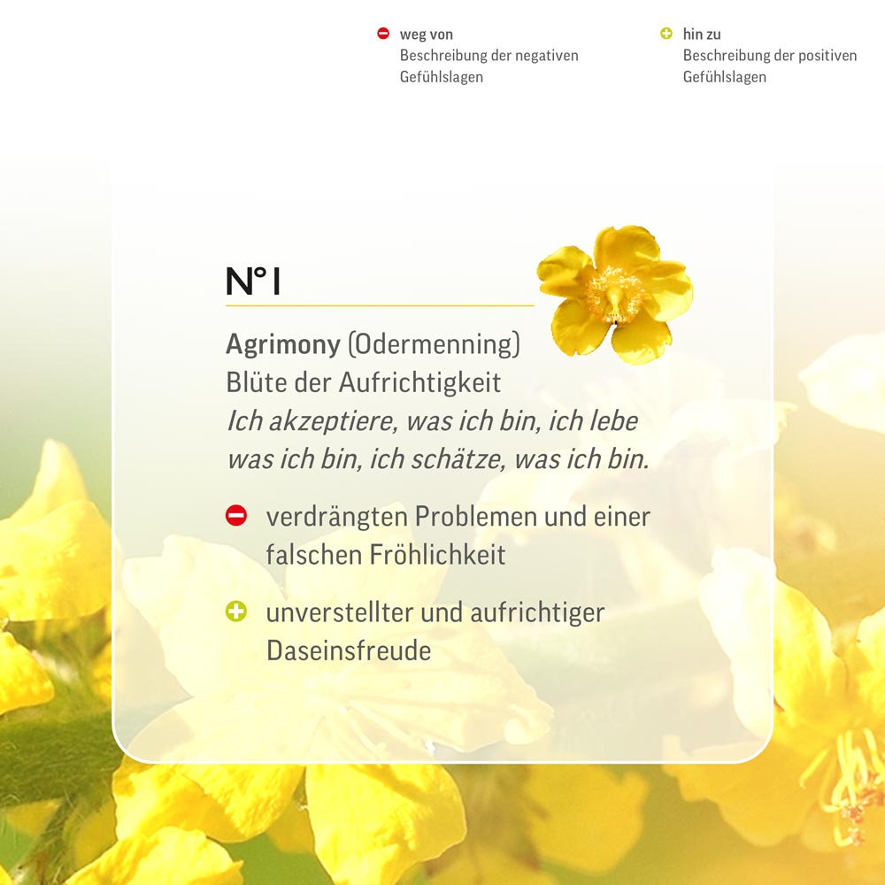 Nr. 1 Nr 1 Bach Flower Original Agrimony Flower Essence Bio Vegan Odermennig Aigremoine agrimonia Agrimonia Agrimonie Lemon Pharma