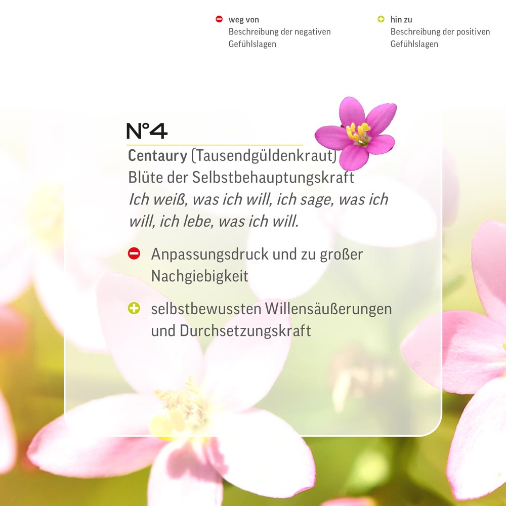 Nr. 4 Nr 4 Bach Flower Original Centaury Flower Essence Tausendgüldenkraut Centaurée centaurea Centáurea duizendguldenkruid Lemon Pharma