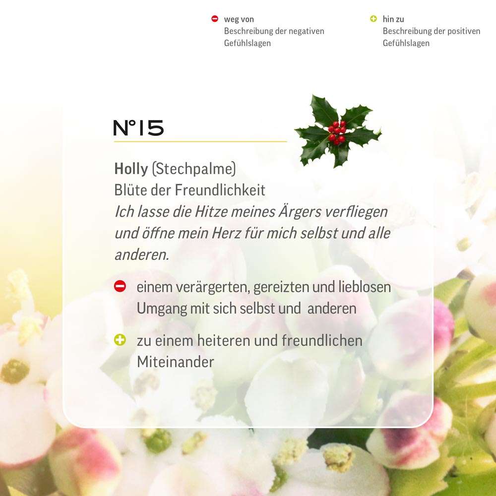 Nr. 15 Nr 15 Bach Flower Original Holly Flower Essence Stechpalme Houx agrifoglio Acebo Hulst Lemon Pharma