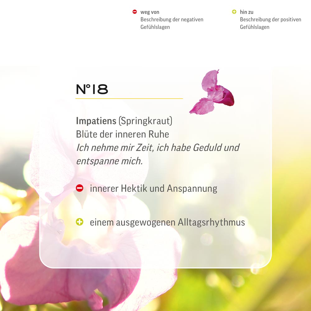 Nr. 18 Nr 18 Bach Flower Original Impatiens Flower Essence Drüsentragendes Springkraut Balsamine de l’Himalaya balsamina Bálsamo del Himalaya Reuzenbalsemien Lemon Pharma