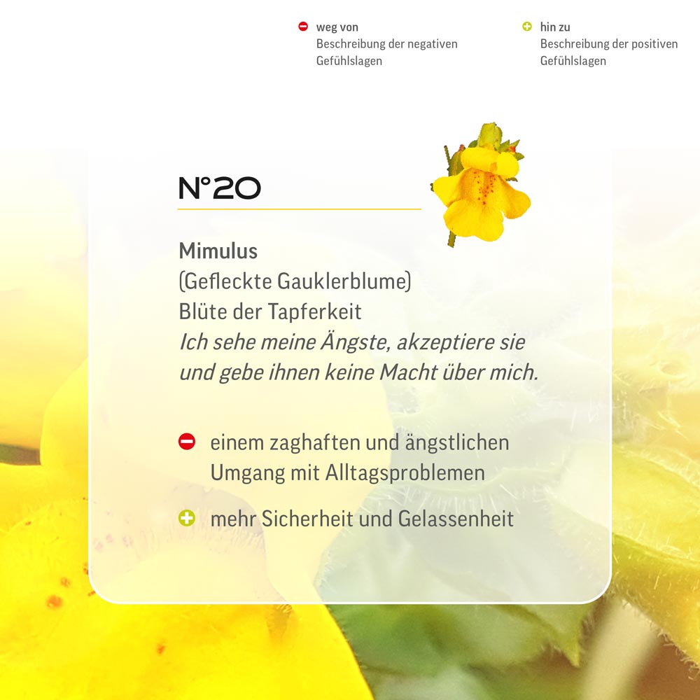 Nr. 20 Nr 20 Bach Flower Original Mimulus Flower Essence Gefleckte Gauklerblume Mimule mimolo Mímulo Maskerbloem Lemon Pharma