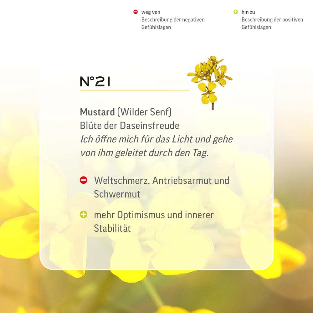 Nr. 21 Nr 21 Bach Flower Original Mustard Flower Essence Wilder Senf Moutarde de champs senape Mostaza salvaje Herik Lemon Pharma