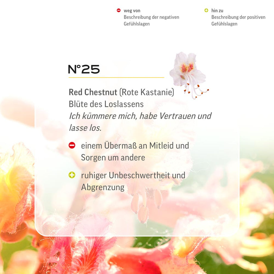 Walnut Flower Essence Affirmation Best Flower Site