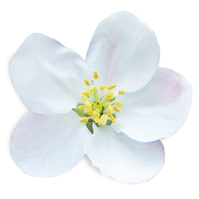 flower Crap Apple