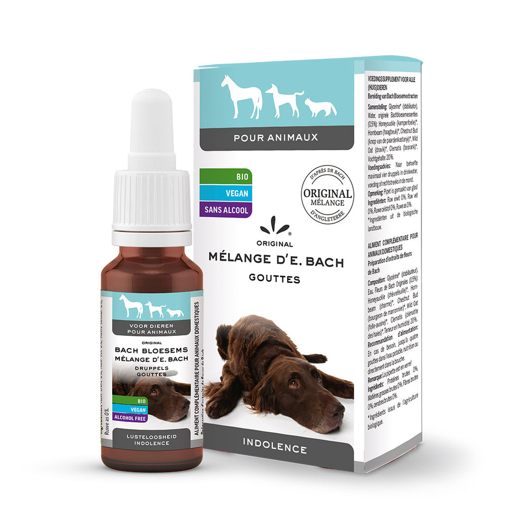 Mélange d’E. Bach animaux animaux domestiques gouttes Indolence Lemon Pharma Dr. Bach 